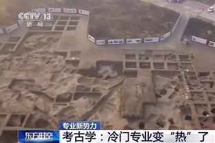 五大联赛参加非洲杯球员数：法甲58人最多，英超30人，意甲17人